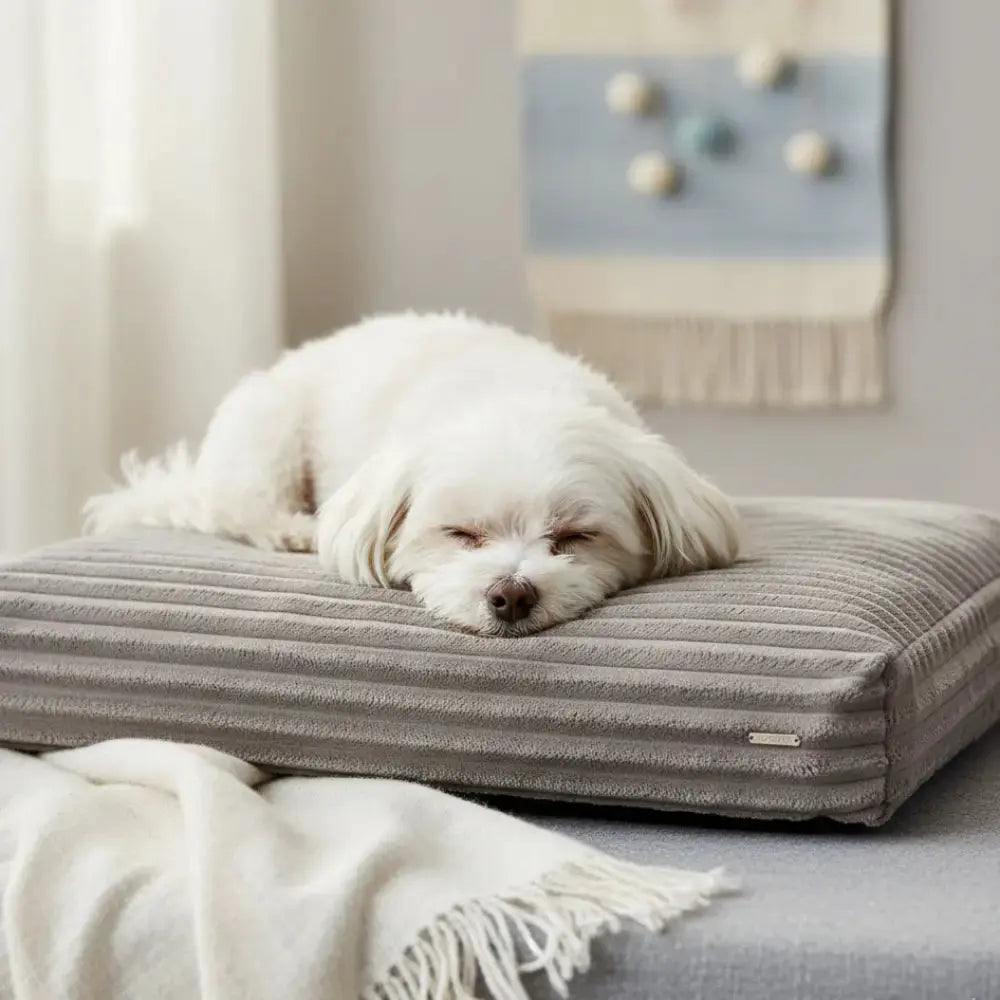 Furo Cuscino Ortopedico Beige