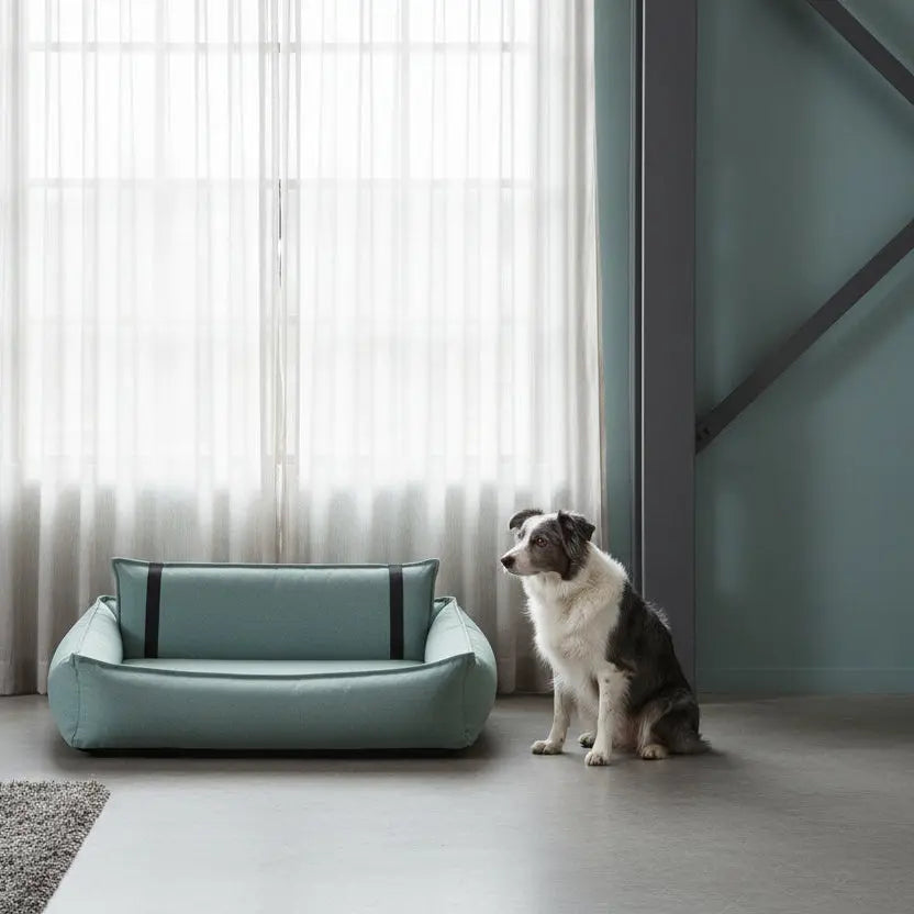 cuccia per cani comoda per articolazioni sensibili